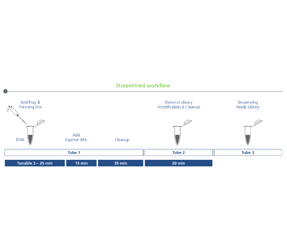 streamline workflow sparq dna frag library prep kit next generation streamline workflow sparq dna frag library prep kit next generation