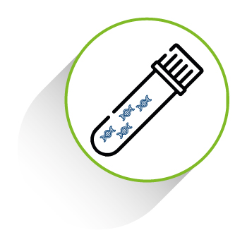 DNA Extraction