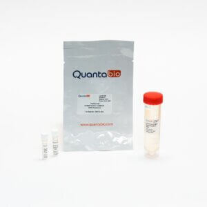 PerfeCTa SYBR Green FastMix PCR Reagent