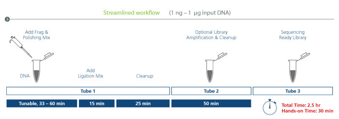Streamlined Workflow sparQ Frag & Library Prep Kit