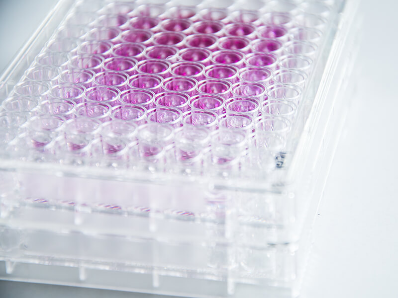 PCR / qPCR