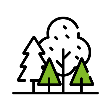 Environment
