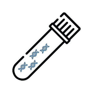 DNA Extraction