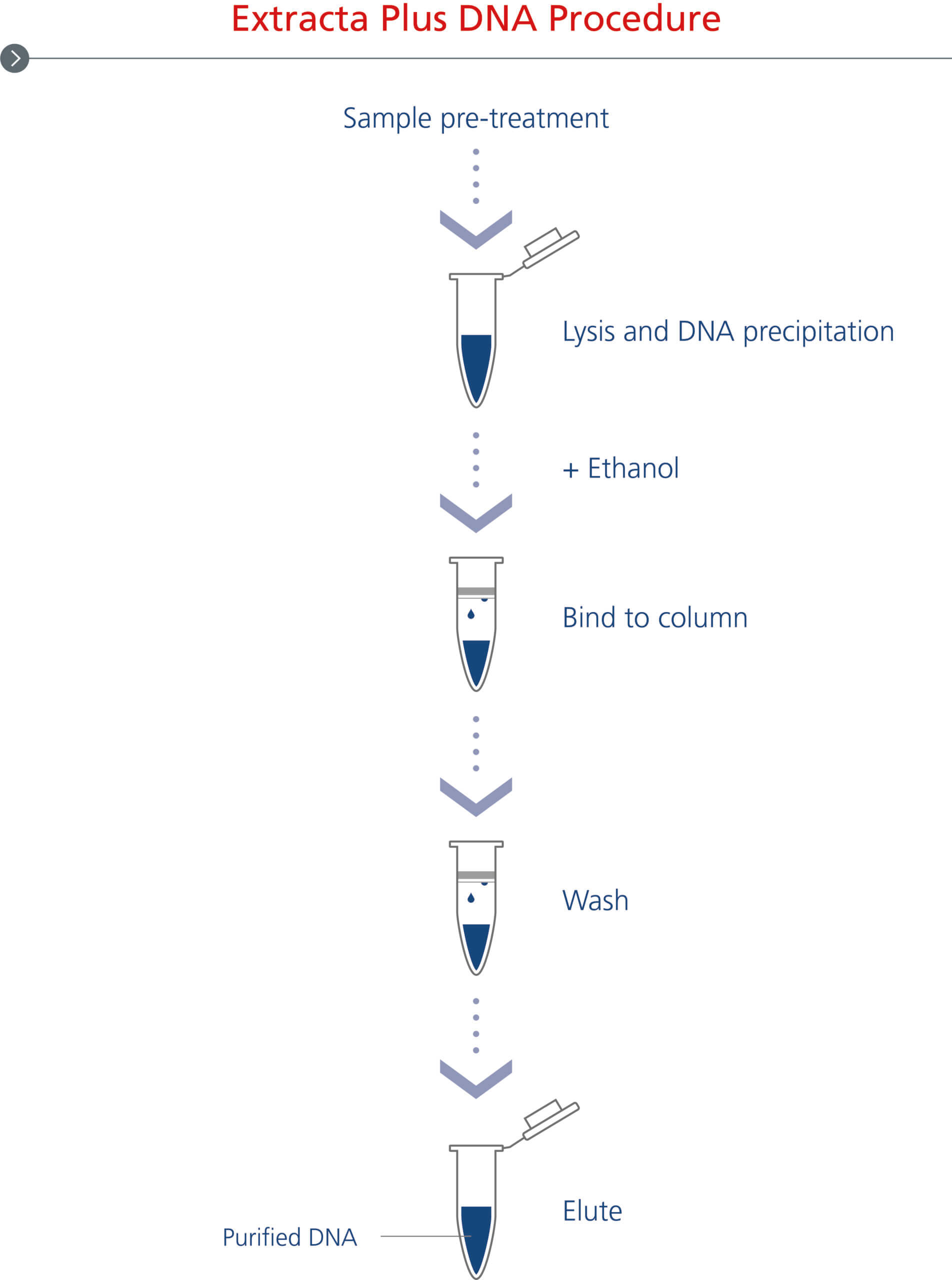 Extracta Plus DNA complete workflow