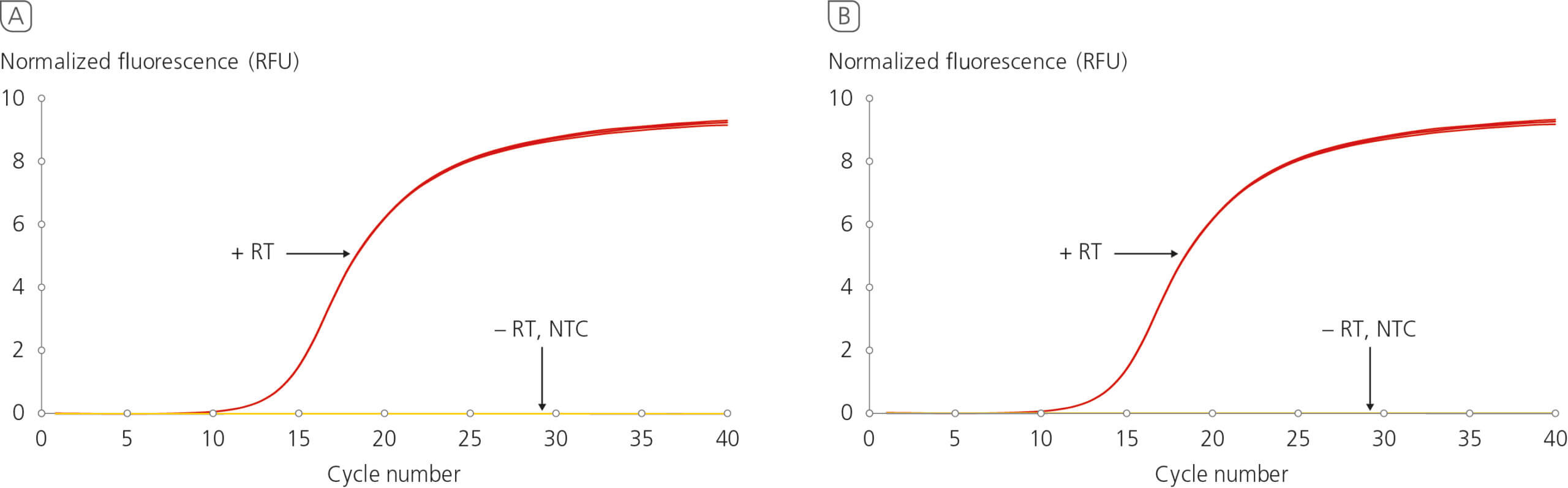 Effective RNA yield with negligible gDNA