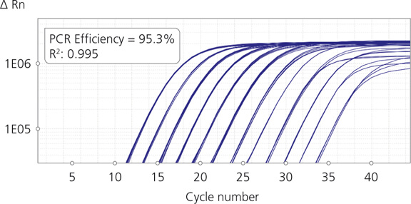 High performance across a range of inputs