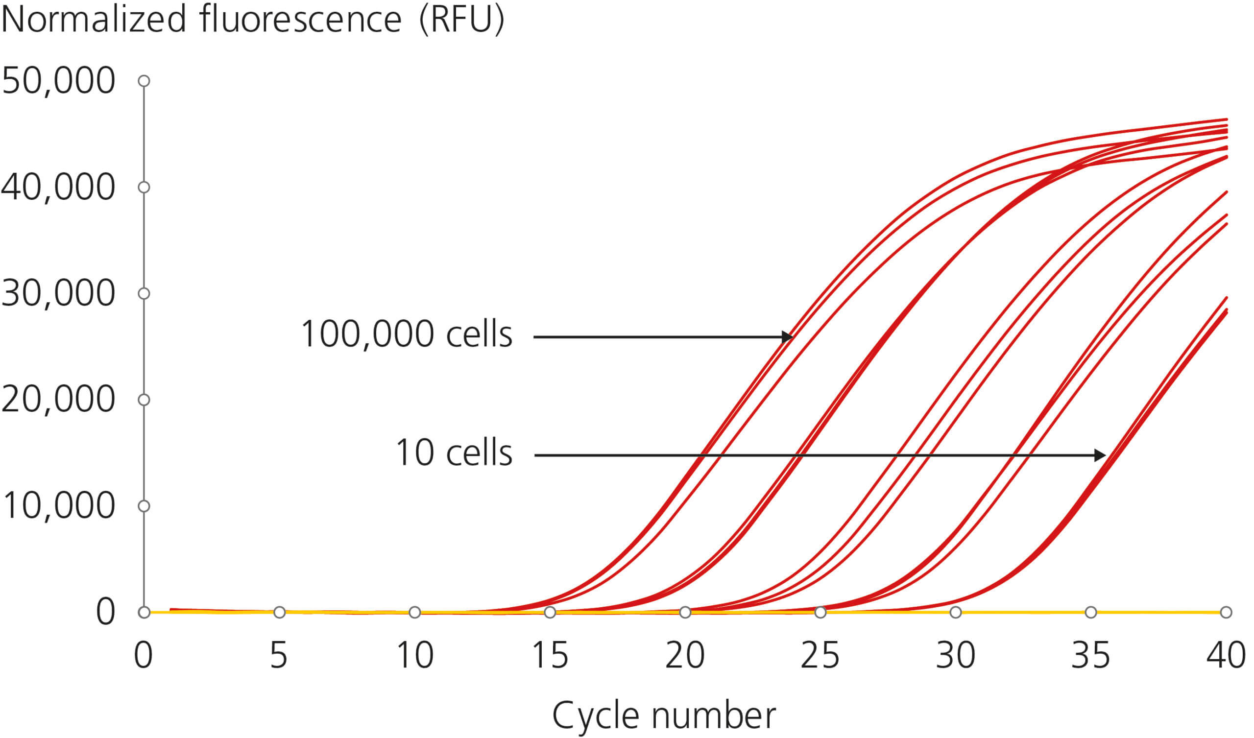 Total RNA purification yield