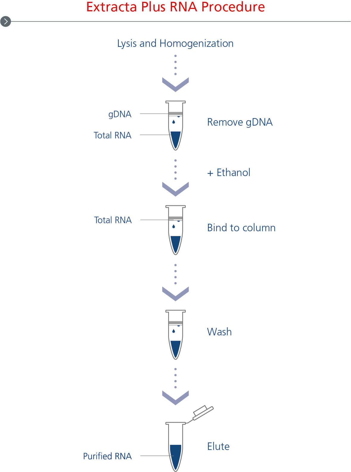 Extracta Plus RNA complete workflow
