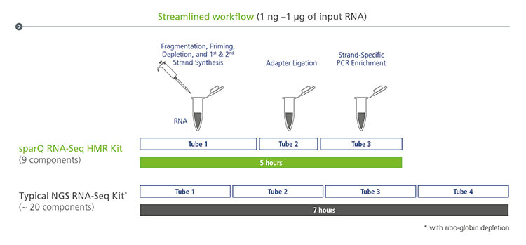 Streamlined Workflow