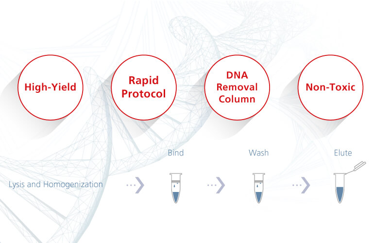 Extracta Plus DNA / RNA