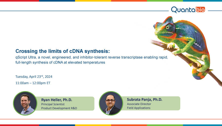 crossing the limits of cDNA synthesis