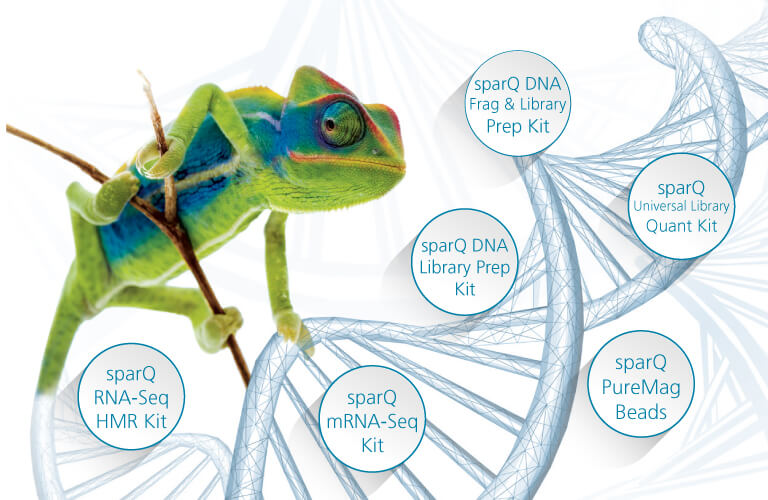 ADAPT Yur Sequencing with sparQ