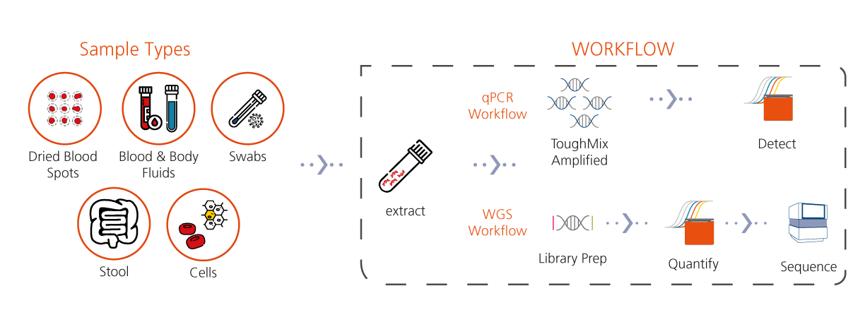 Molecular Workflows for Newborn Screening
