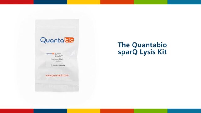 sparQ Lysis Kit